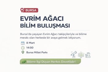 Bursa Bilimseverler Buluşması