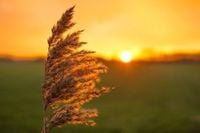 Fin de l'hiver, place à l'équinoxe de printemps : pourquoi il tombe le 20 mars cette année (et non le 21)