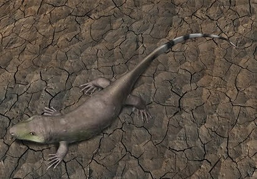 Tseajaia (3D Rekonstrüksiyon)