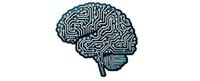 Lack of international model law for neurotechnology and neurodata raises privacy concerns