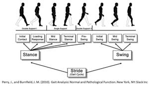 Side Dominance Has Little Effect On Gait Mechanics Under Eye Patching