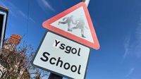 Bid to slash English-medium lessons in schools