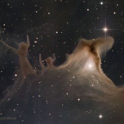 Hayalet Bulutsusu’nun Tozdan Şekilleri