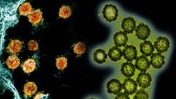 Bu Sonbaharda, COVID-19 ve Grip Karşı Karşıya Geldiğinde Ne Olacak?