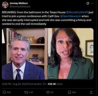 Texas Democrat abruptly leaves DNC call after being warned she’s committing a felony