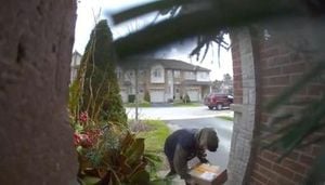 Porch Pirates Strike Rochester And Ancaster Amid Holiday Rush