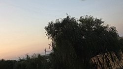 Geminin Kaptanı ve Çocuğun Çığlığı: Anlam Zırhına Paradoksla Bir Bakış