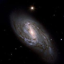 Dusty Spiral M66