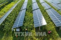 Bài học từ sự cố mất điện đầu tiên của kỷ nguyên xanh