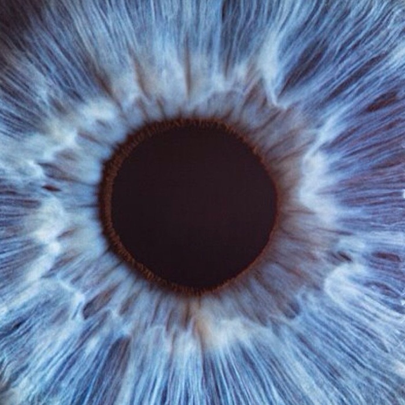 Evrim Ağacı ile Bilime Dair Her Şey!