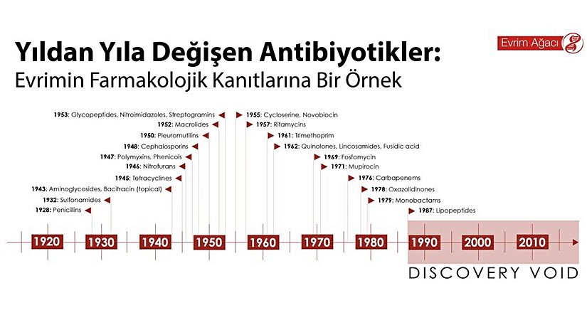 Evrimin Farmakolojik Kanıtları: Antibiyotik Direnci Kazanan Bakterilere Karşı Yeni İlaçlara İhtiyaç Duyuyoruz!