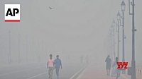 Thick, hazardous smog blankets New Delhi after Diwali fireworks (Video) - Social News XYZ