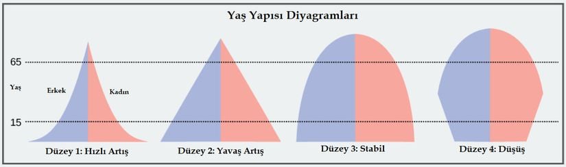 Şekil 19.3.3: Tipik yaş yapısı diyagramları. Hızlı Artış bir noktaya kadar incelmekte; yani nüfusu oluşturan bireylerin sayısı yaşla beraber hızla düşmektedir. Yavaş Artış modelinde ise nüfusu oluşturan bireyler yaşla orantılı bir şekilde düşmektedir. Stabil popülasyonlarda nüfus korunumu sağlanmakta; yaşla beraber düşüş artmaktadır. Düzey 4'te ise sayıca azalan bir popülasyon gösterilmektedir.