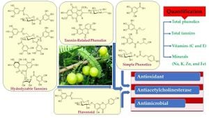 Genetic Diversity Study Sheds Light On Phyllanthus Acidus Variability