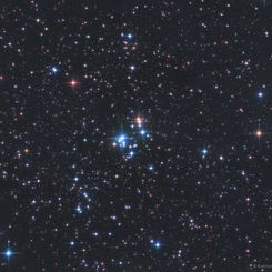 The 37 Cluster