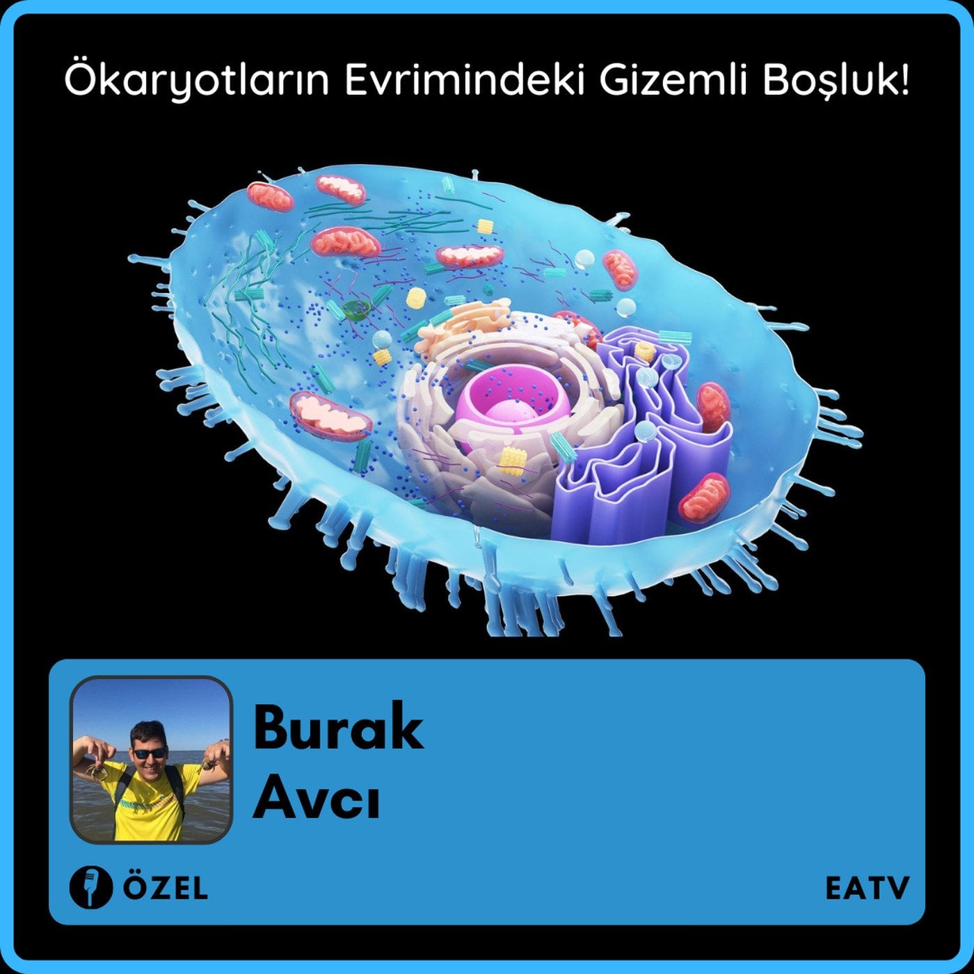 Ökaryotların Evrimindeki Gizemli Boşluk!