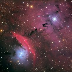 Stars, Dust and Nebula in NGC 6559