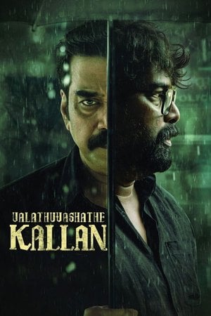 വലത് വശത്തെ കള്ളൻ