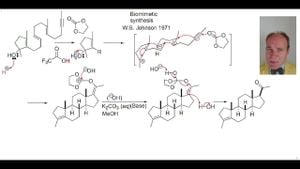 Bovine STAR Gene Significantly Enhances Progesterone Synthesis