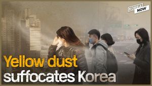 Nationwide Air Quality Alert Issued Amid Yellow Dust Crisis