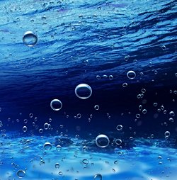 Denizde yaşayan memeliler su altında nasıl normalden uzun kalabiliyor?