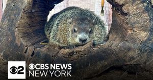 Groundhog Day 2025: Groundhogs Split On Spring Predictions