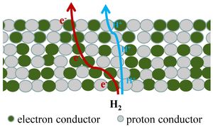 New Hydrogen-Bonded Polymer Enhances Mixed Proton-Electron Conductivity