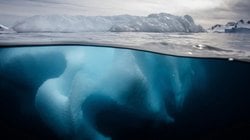 Bilim İnsanları Antarktika Buzunun Altında Gizlenmiş Geniş Plankton Çiçeği Keşfetti