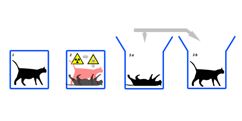 Schrödinger'in Kedisi Düşünce Deneyi: Kedi Gözlem Yapılmadığı Sürece Hem Ölü Hem Canlı