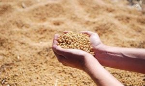 Rural America Faces Housing Cuts And Farm Crisis