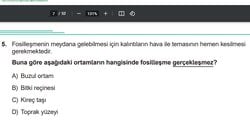 Ortamların hangisinde fosilleşme gerçekleşmez?