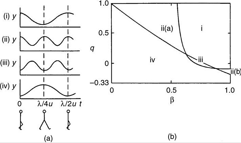 (a) y ekseni kütle merkezinin yüksekliğini, x ekseni zamanı göstermektedir.  (b) q şekil faktörü - B görev faktörü grafiği. Grafik dört hareket türünü de göstermek amacıyla bölgelere ayrılmıştır.
