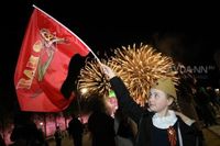 Праздничные салюты 9 мая пройдут в шести районах Нижнего Новгорода