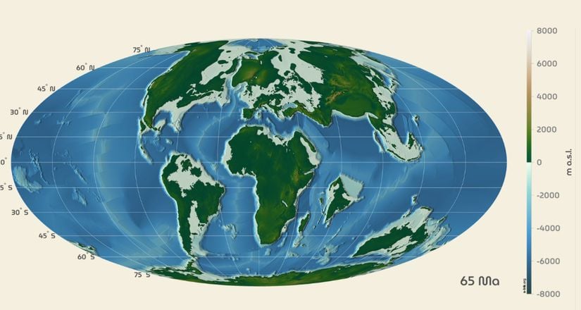 Senozoyik dönemin başı (65 milyon yıl önce) dünya haritası. Görebileceğiniz üzere Kuzey Amerika ve Güney Amerika arasında kara bağlantısı bulunmamaktadır.