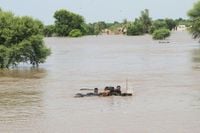 TRT World - At least five killed as evacuation boat capsized in flood-hit southern Punjab, Pakistan
