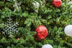 Trump Grants Federal Workers Extra Christmas Holidays