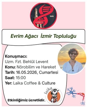 Nörobilim ve Hareket