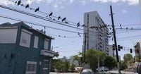 Deal to restructure Puerto Rico power company debt crumbles as some bondholders walk away