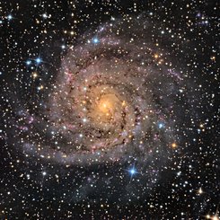 Hidden Galaxy IC 342 