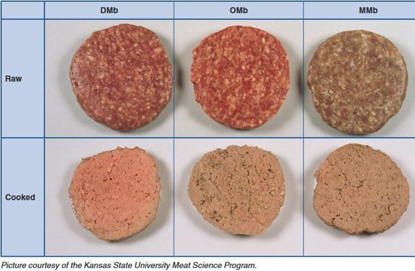 Color of Cooked Ground Beef Patties as Affected by the Initial Chemical State of Myoglobin of Uncooked Patties.