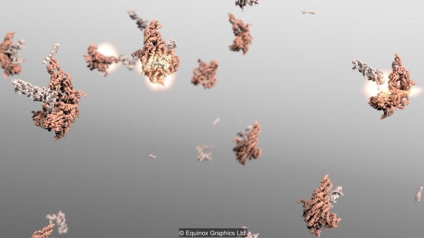 RNA yaşamın başlangıcının anahtarı olabilir.