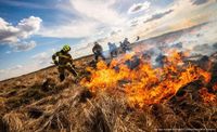 Pożar w Biebrzańskim Parku Narodowym. Strażacy walczą z ogniem
