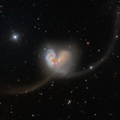 Antenler’i Keşfetmek