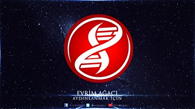 Evrim Ağacı'nın Yeni Logosu ve Yarışmamızın Kazananları Belli Oldu!