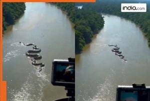 Viral Video Sparks Debate Over Anaconda Authenticity