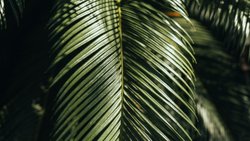 yeraltı: yarışa veda