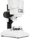 Celestron Labs S20 Stereo Mikroskop