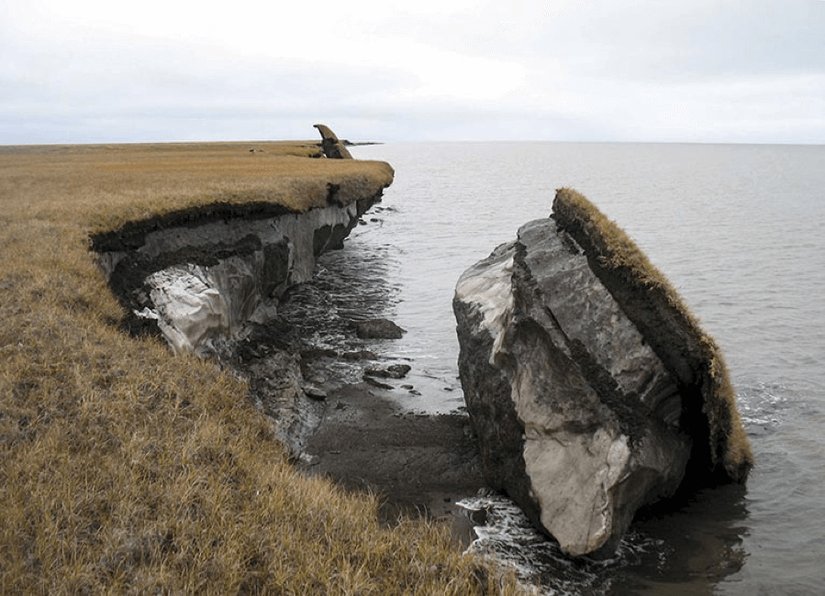 Permafrost (donmuş toprak) tabakası.