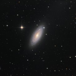 Sarmal Gökada NGC 2841