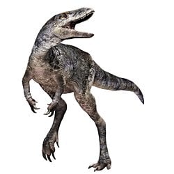 T. rex’in Evrimini Yeniden Şekillendiren Yeni Dinozor Türü: Khankhuuluu mongoliensis Keşfedildi.